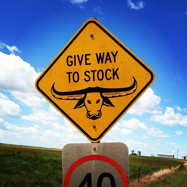 Negdje u australskoj divljini...