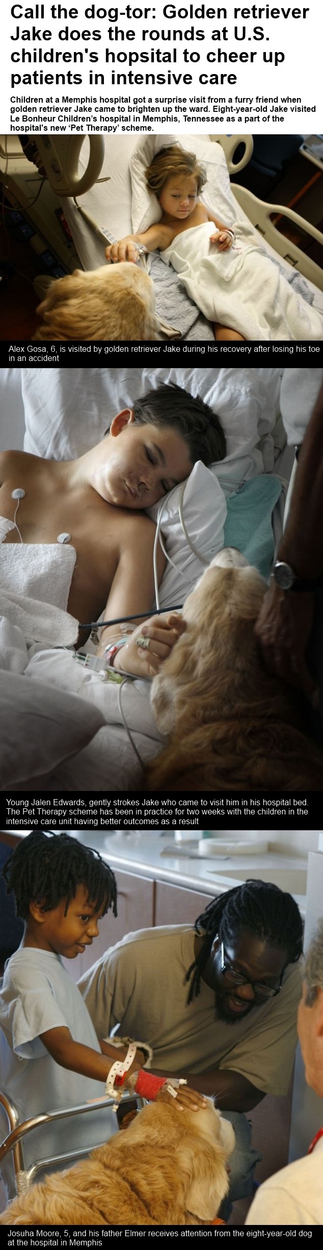 Zlatni retriver pomaže bolesnoj djeci da se lakše oporave