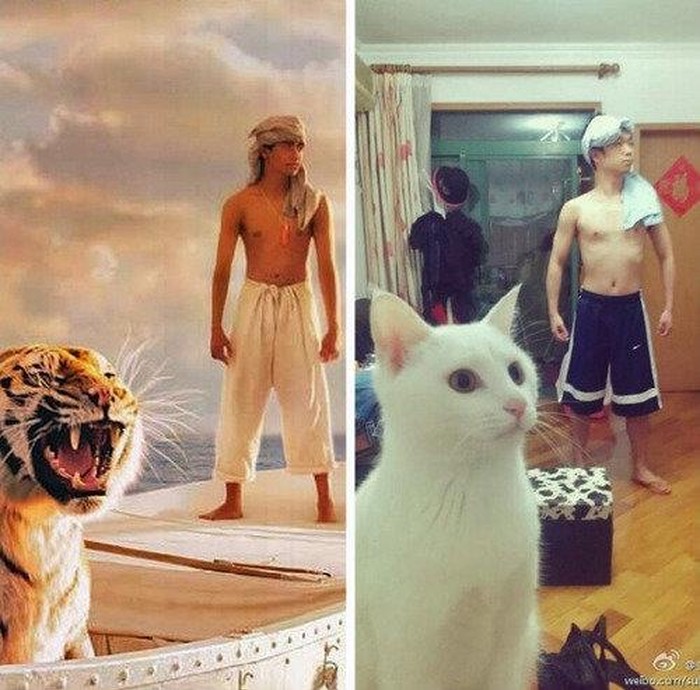 Srećom pa je divna mačka popravila drugi kadar...