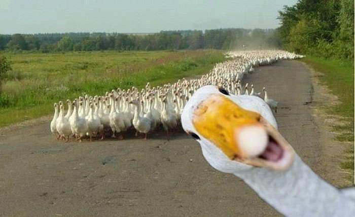 Neki se jednostavno obožavaju fotkati :D