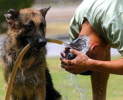 Evo gazda, sad si ti na redu za tuširanje!