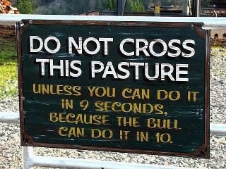 Test sposobnosti: Jesi li brži od razjarenog bika? :D