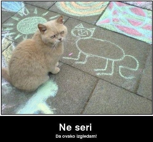 Mačor nezadovoljan portretom: Evo ti otkaz, nema honorara!