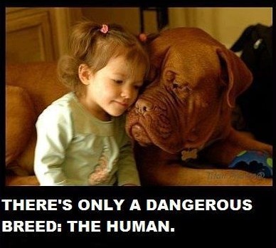 Krivu vrstu se drži s brnjicama i na lancu...