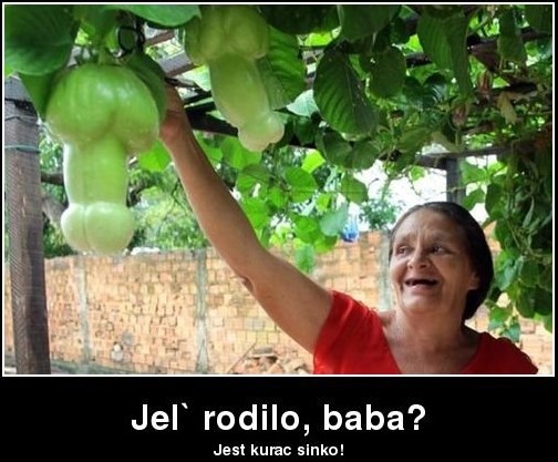 Baka cvate od sreće kad urod naraste