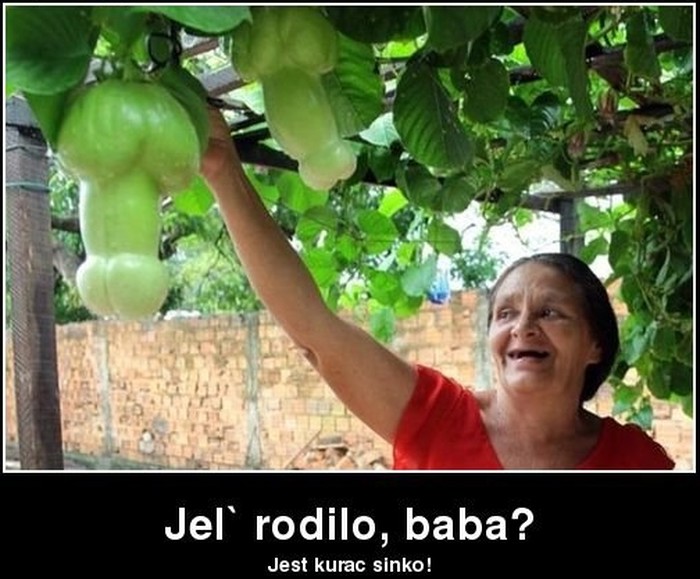 Baka cvate od sreće kad urod naraste