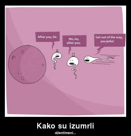 Džentlmeni sami krivi za izumiranje, idioti se množili