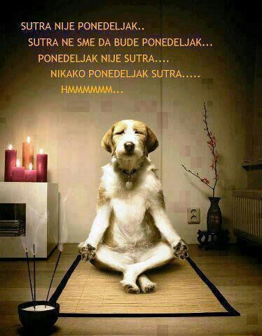 Možda meditacija pomogne... Ne može već sutra ponedjeljak!