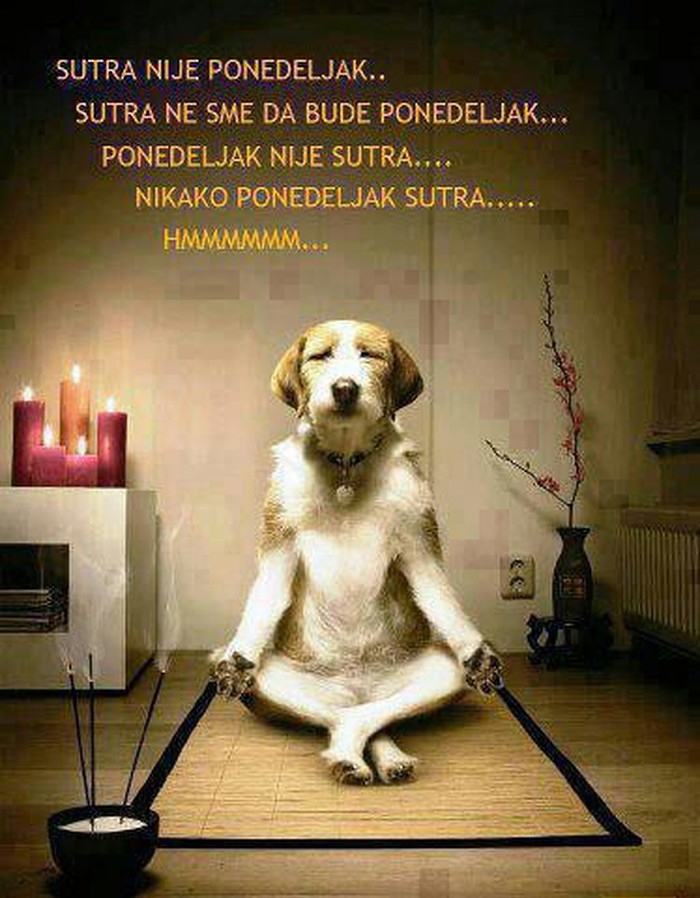Možda meditacija pomogne... Ne može već sutra ponedjeljak!
