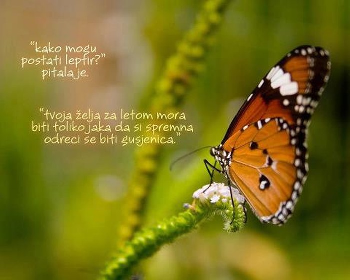 Jesi li spreman za let u život?