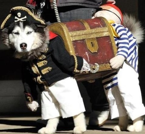 Uhvatiše ga baš dok je mažnjavao škrinju s blagom :D