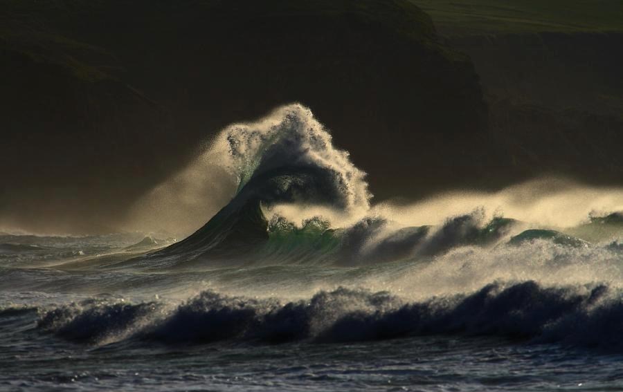 Iz oceana izronila "morska neman"