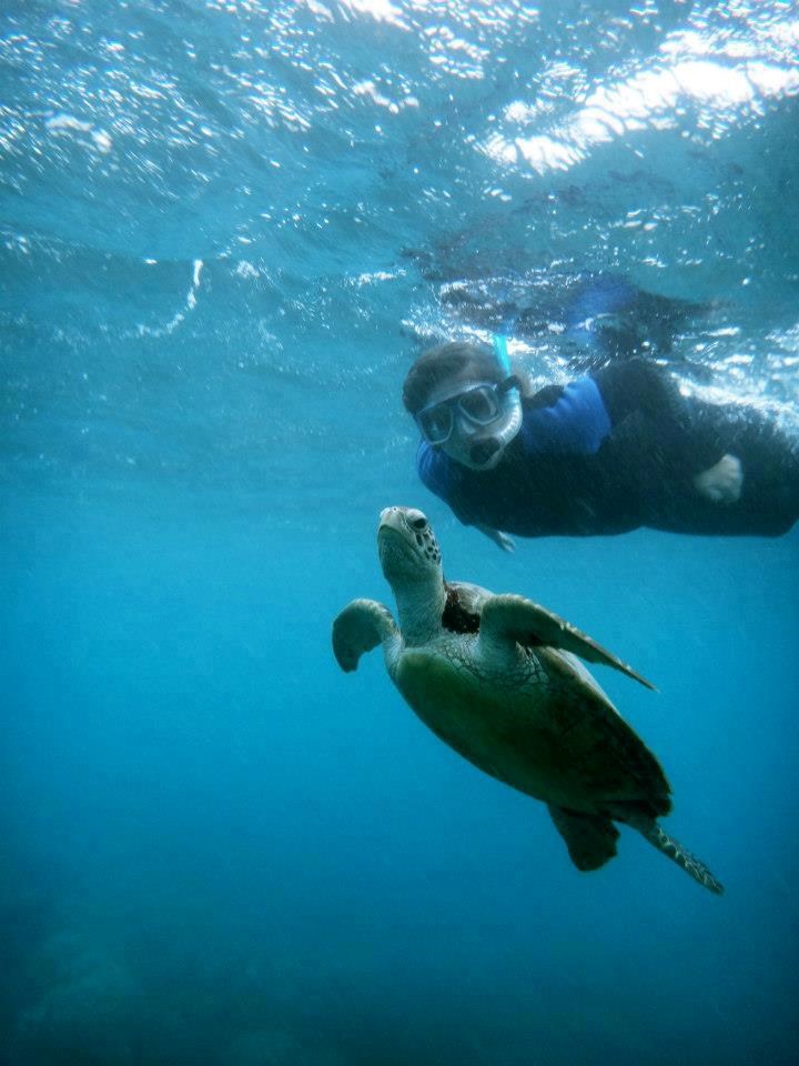 Ronjenje s kornjačom pozericom