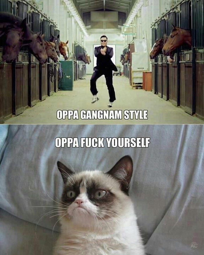 Mrzovoljnom mačku dosta Gangnam stylea