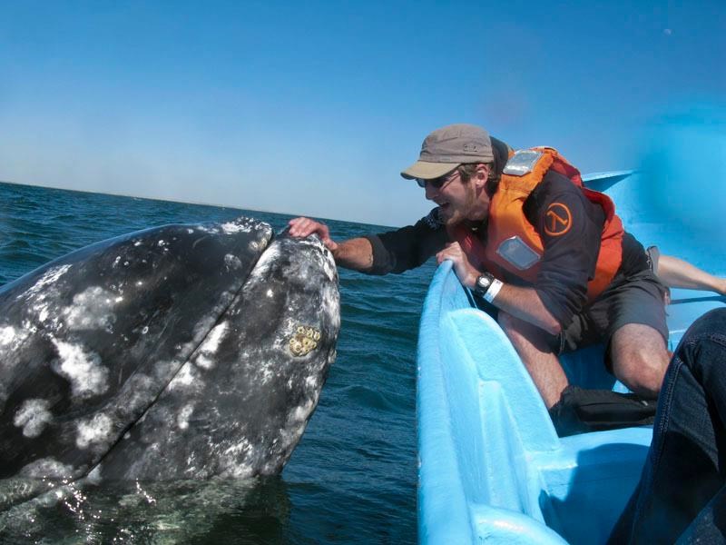 Kit svratio pozdraviti ekipu