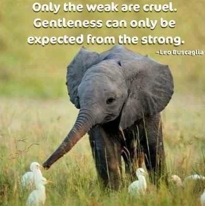 Okrutnost pokazuje slabost, za nježnosti treba snaga