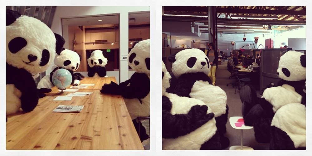 Pande na važnom poslovnom sastanku