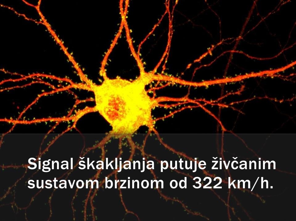 Škakljanje krši prometne propise ;)