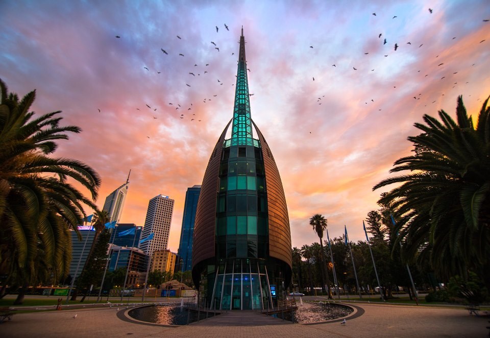 Ružičasti australski suton