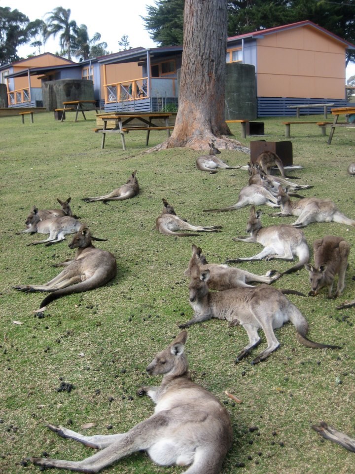 Nedjelja je dan za odmaranje...