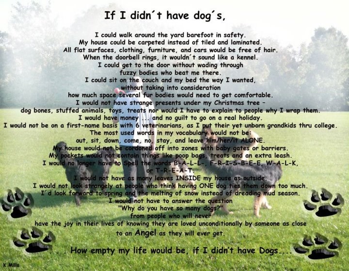 Psi - neprocjenjiva radost ljudskog života