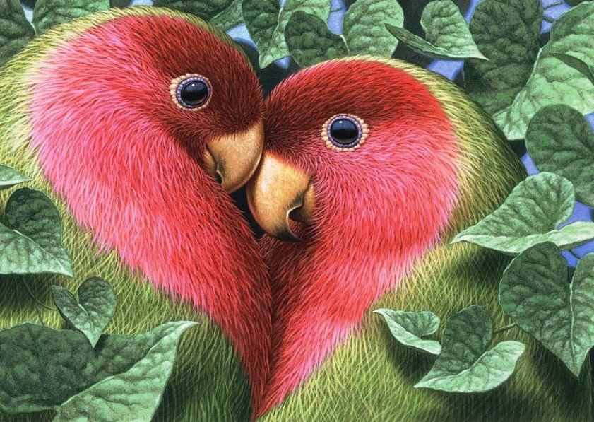 Romantične zaljubljene papige zaželjele si dobro jutro