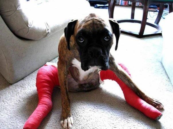 Jadni mali, razvedri se: Čim skinu gips trčat ćeš ko veliki!