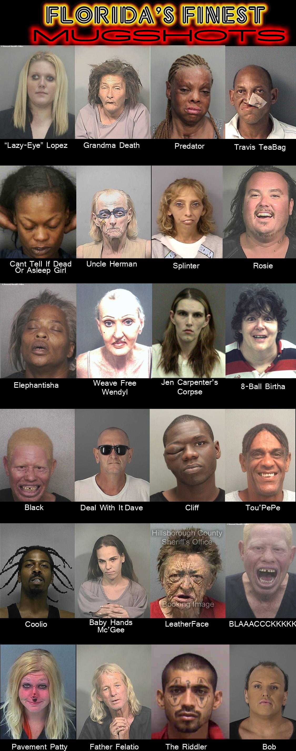 Kad policija na Floridi hapsi, hapsi svakojake čudake...