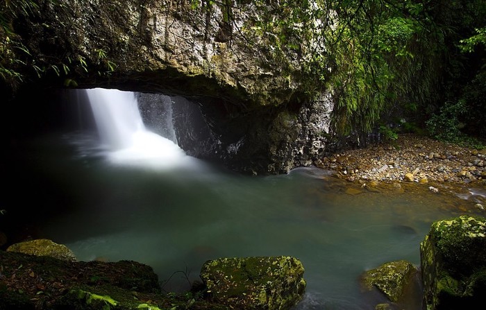 Nacionalni park Springbrook, Australija