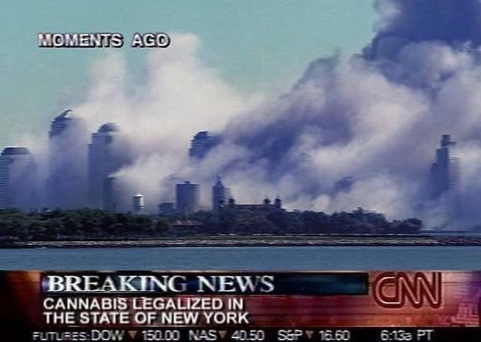Ameri legalizirali travu, nacija slavi!