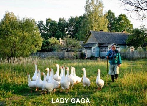 Originalna Lady Gaga