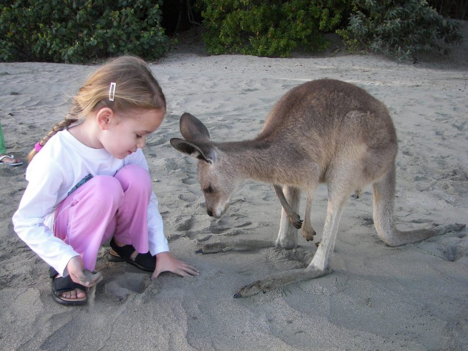 Curica na plaži pronašla super frenda