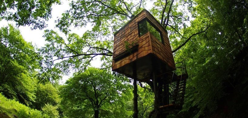 Neobična "kućica" na drvetu