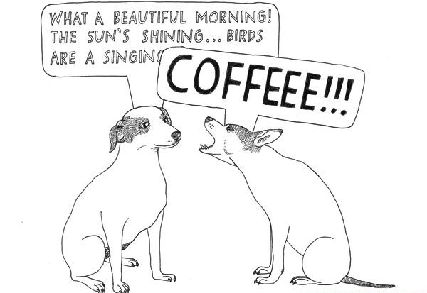 Kava - sunce naših života