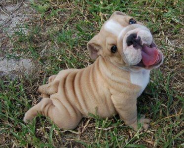 Slatko jutarnje protezanje