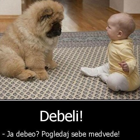 Bebač i pas u ljutom okršaju