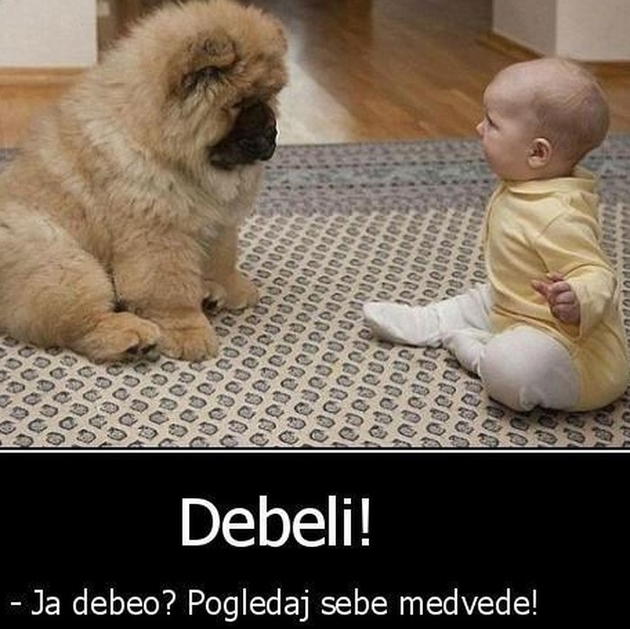 Bebač i pas u ljutom okršaju