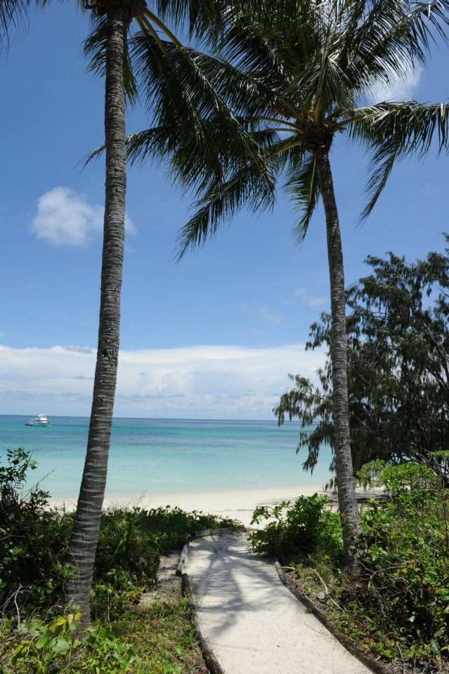 Rajska plaža: Pijesak i tirkizno more