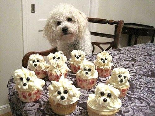 Gazda, da se dogovorimo, ove sam ja prisvojio!