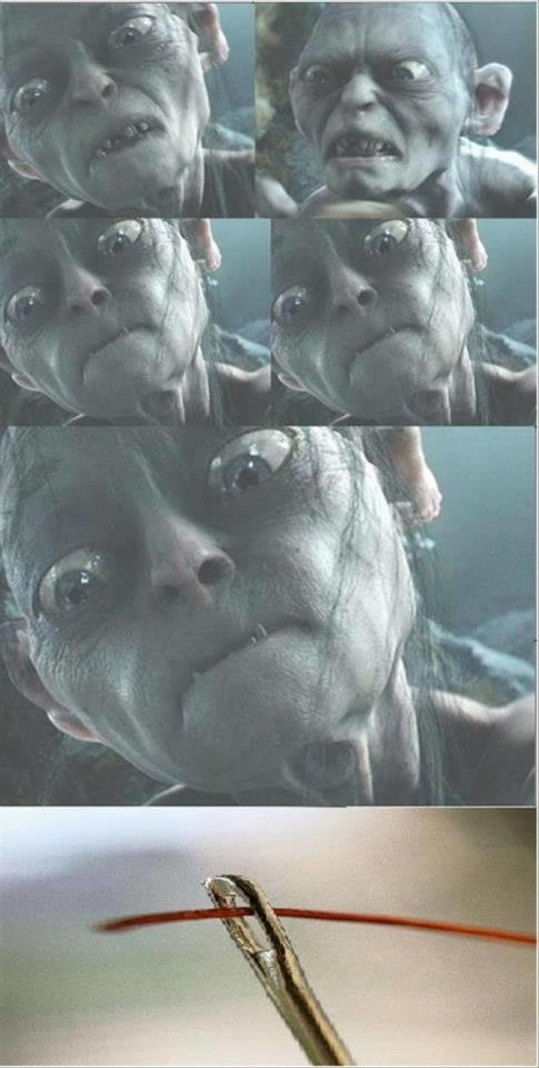 Muke i patnje - kroz ušicu igle