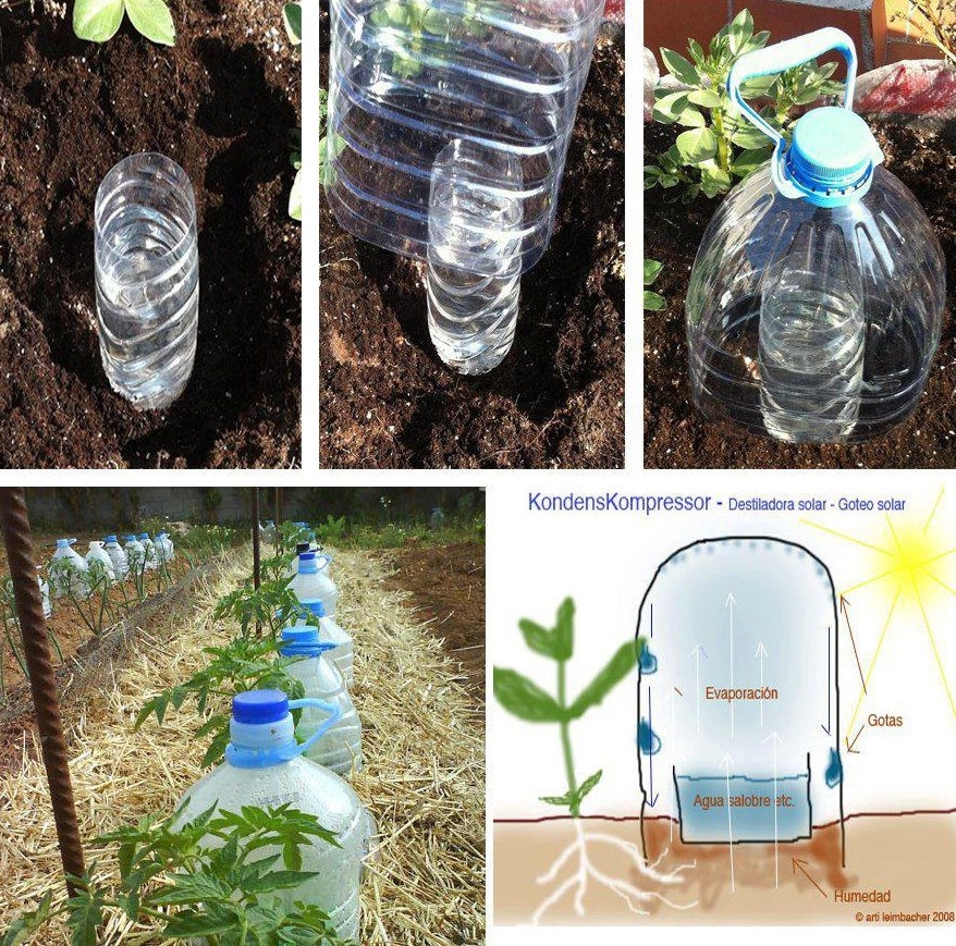 Super ideja za zalijevanje biljaka - uvijek dovoljno vlage