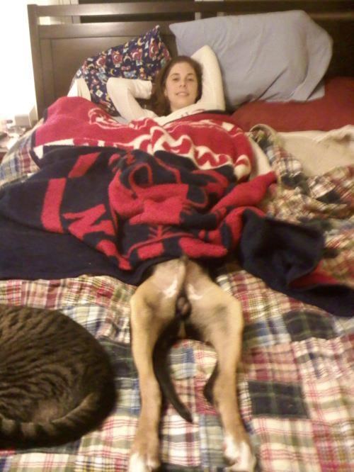 Igra skrivača ispod deke