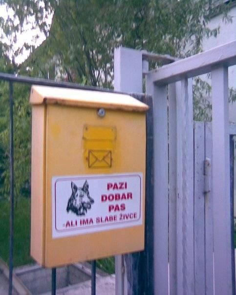 Dobar je pas, al su mu živci malo slabiji