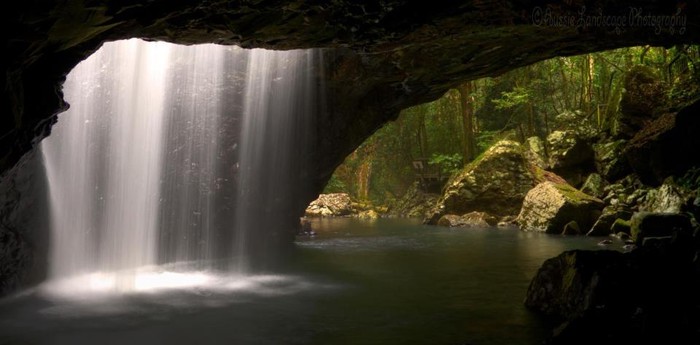 Čarobni slapovi - Springbrook National Park, Australija