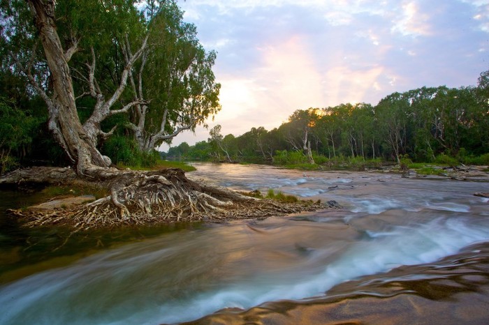 Gotovo nestvarno korito rijeke Roper, Australija