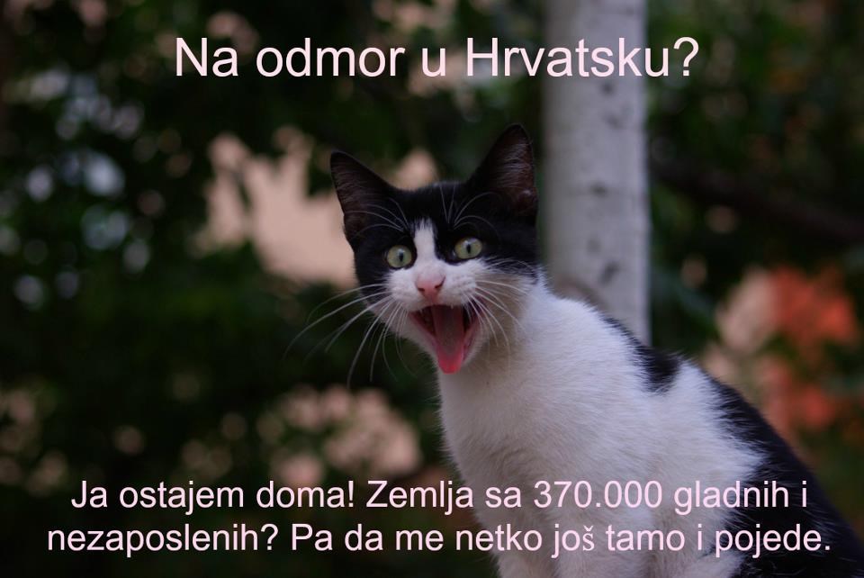 Hrvatska - zemlja u kojoj se i mačke boje za goli život