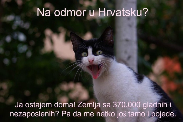 Hrvatska - zemlja u kojoj se i mačke boje za goli život