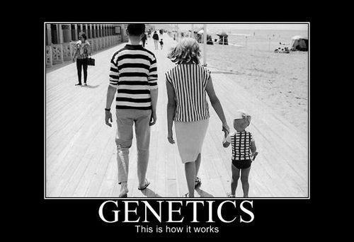 Najslikovitije objašnjenje genetike