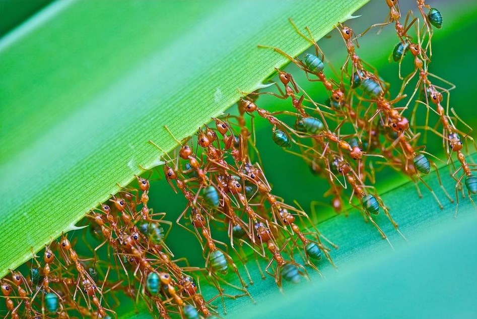 Kad se male ruke slože, sve se može!