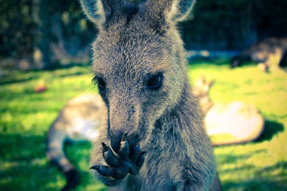 Pssssst, neću moći zbrisati ak probudimo moju mamu!